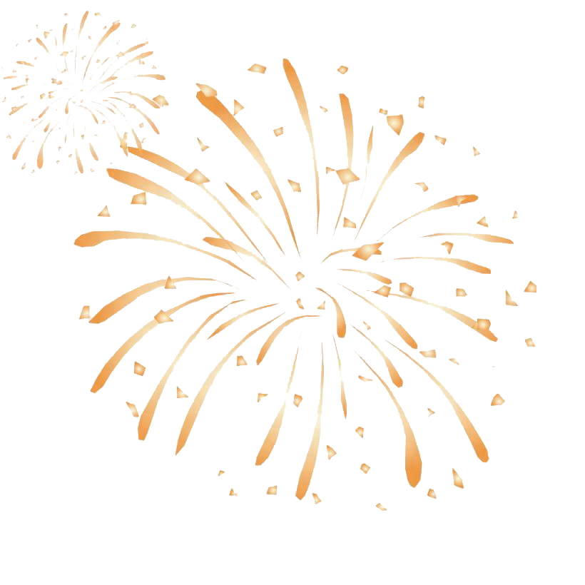 Vishwa Crackers 